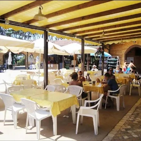 In Mit Gemeinschaftlichem Pool Und Terrasse Viareggio